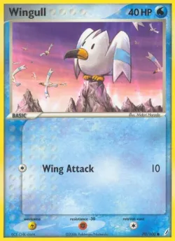 Wingull 「CG 70/100」「EN」