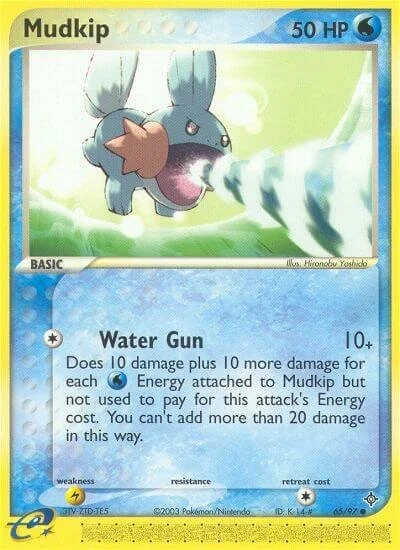 Mudkip 「DR 65/97」「EN」