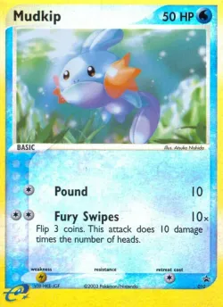 Mudkip 「NP 010」「EN」