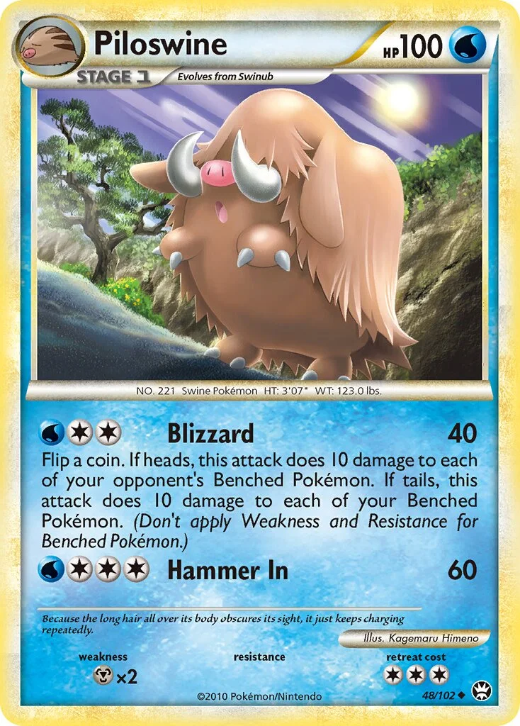 Piloswine 「TM 48/102」「EN」