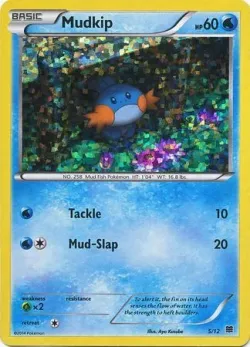 Mudkip 「M15 5/12」「EN」