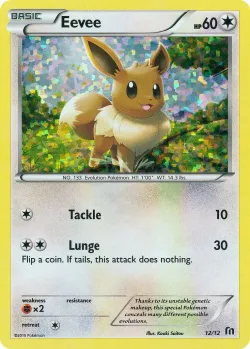 Eevee 「M16 12/12」「EN」
