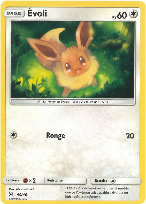 Eevee 「M19F 40/40」「EN」