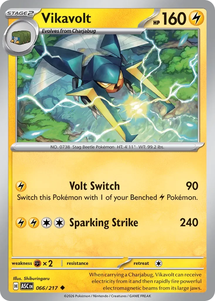 Vikavolt 「ASC 066/217」「EN」