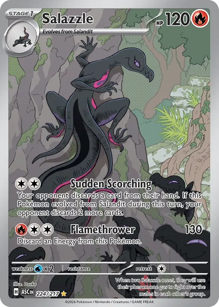 Salazzle 「ASC 224/217」「EN」