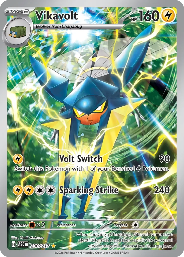 Vikavolt 「ASC 230/217」「EN」