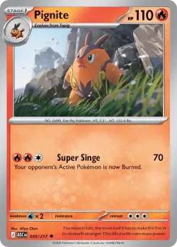Pignite #030/217 · Pokémon