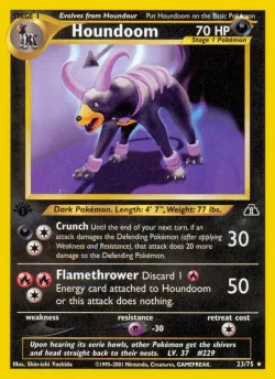 Houndoom #23/75 · Pokémon
