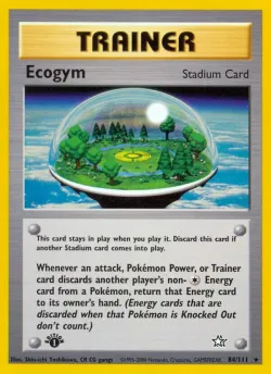 Ecogym 「N1 84/111」「EN」