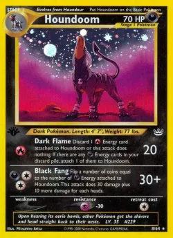Houndoom #8/64 · Pokémon