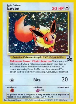 Eevee 「WP 11」「EN」