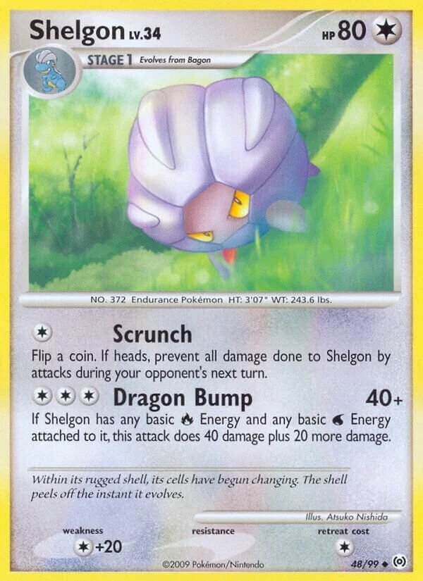 Shelgon 「AR 48/99」「EN」