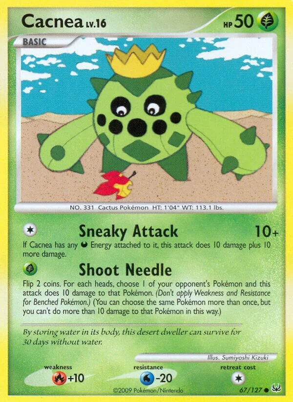 Cacnea 「PL 67/127」「EN」