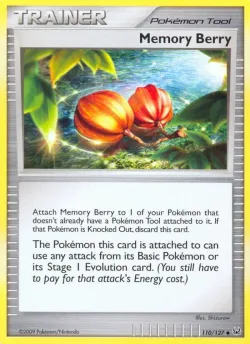 Memory Berry 「PL 110/127」「EN」