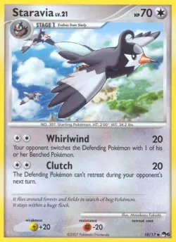 Staravia 「POP6 10/17」「EN」