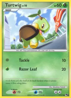 Turtwig 「POP6 17/17」「EN」