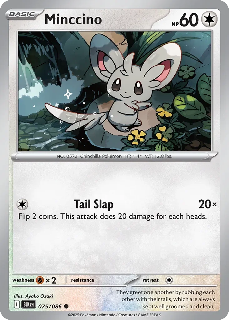 Minccino 「BLK 075/086」「EN」