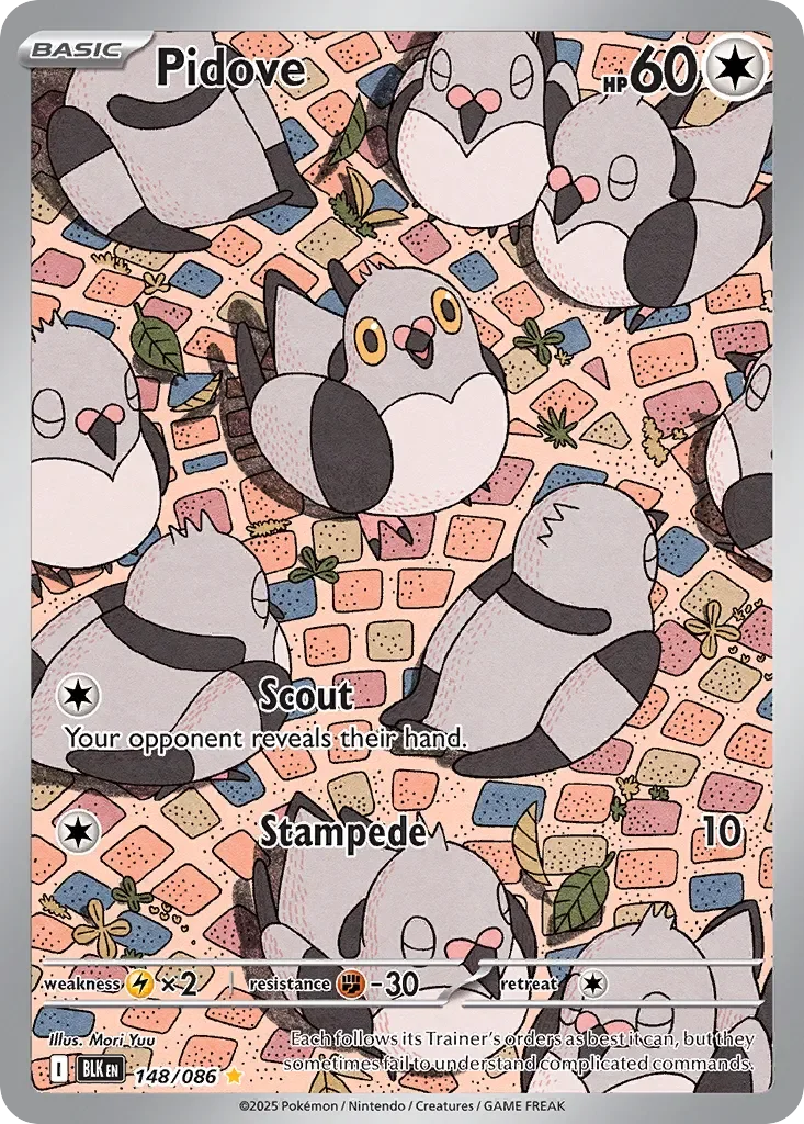 Pidove 「BLK 148/086」「EN」