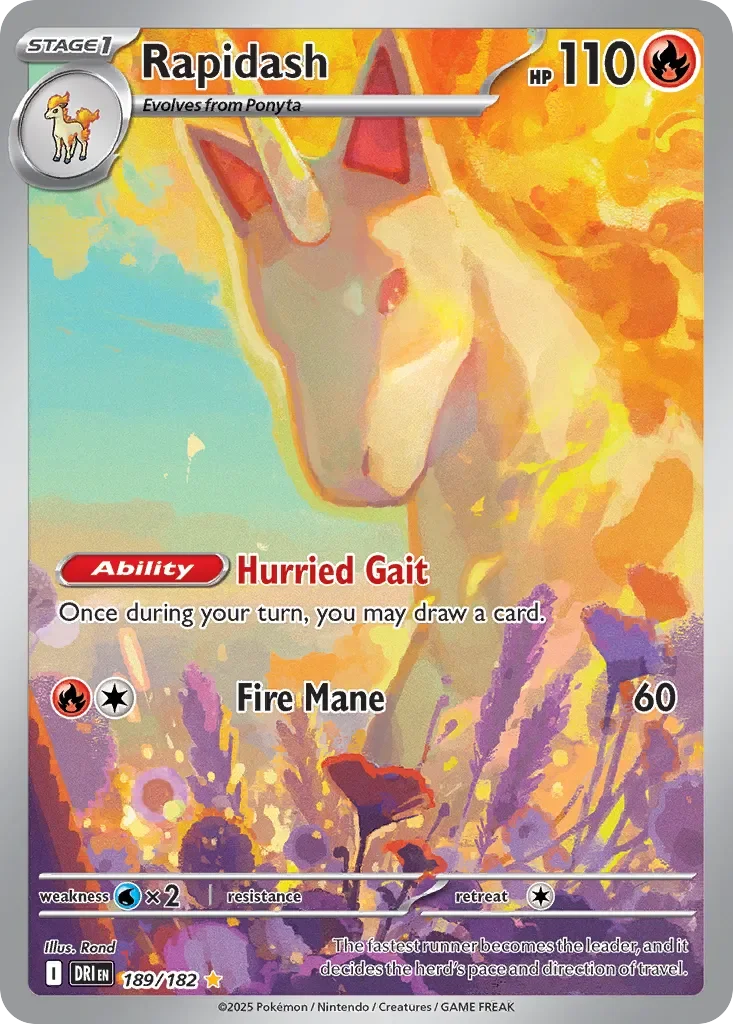 Rapidash 「DRI 189/182」「EN」