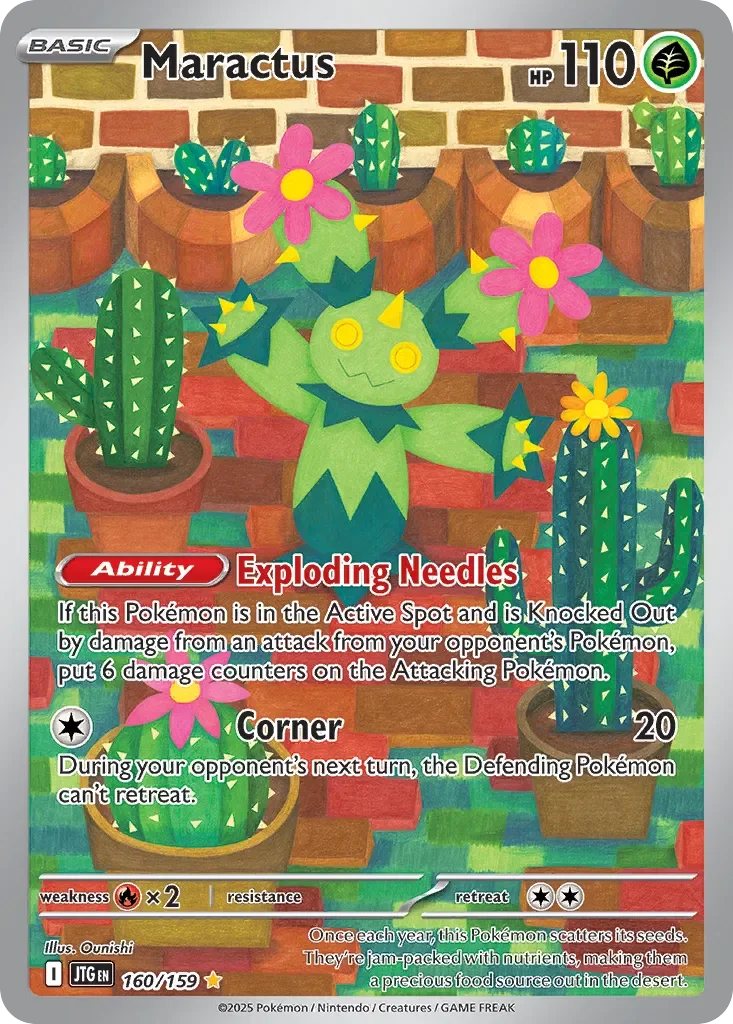 Maractus 「JTG 160/159」「EN」