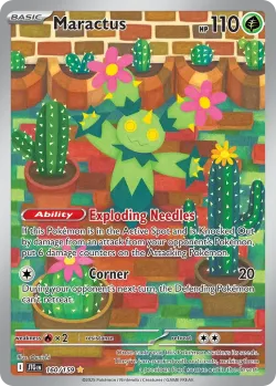 Maractus 「JTG 160/159」「EN」
