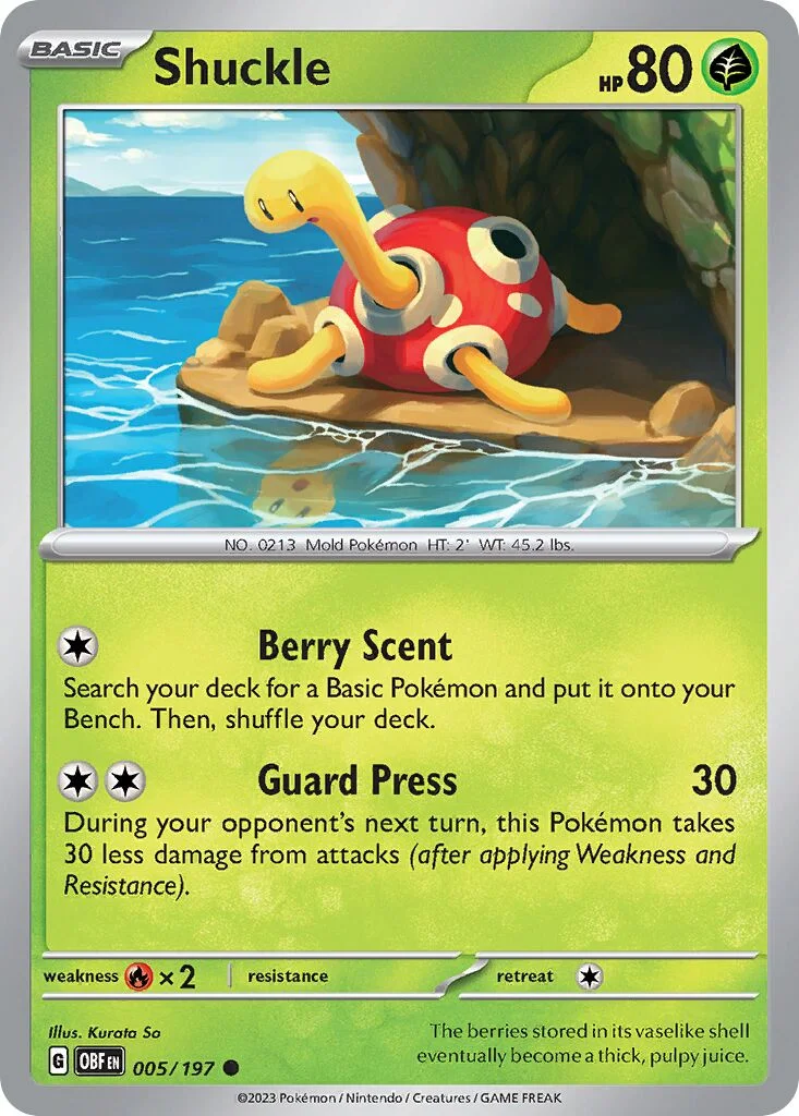 Shuckle 「OBF 005/197」「EN」
