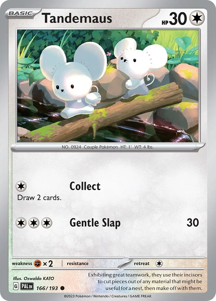 Tandemaus 「PAL 166/193」「EN」
