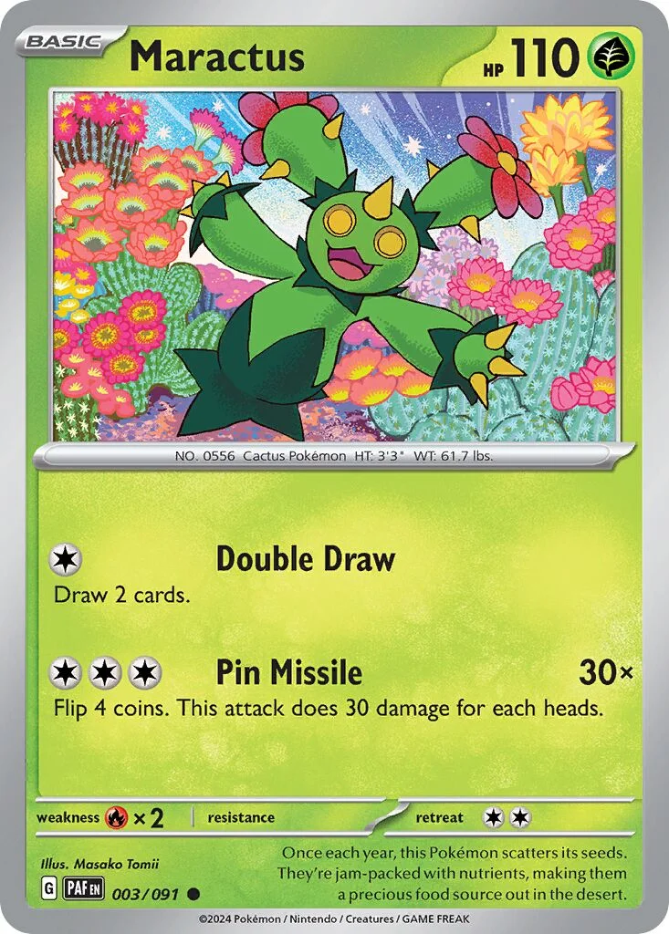 Maractus 「PAF 003/091」「EN」
