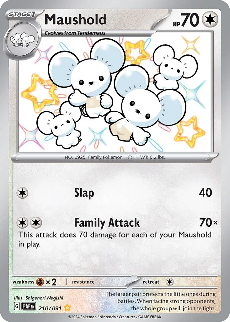 Maushold 「PAF 210/091」「EN」