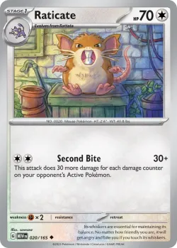 Raticate #020/165 · Pokémon