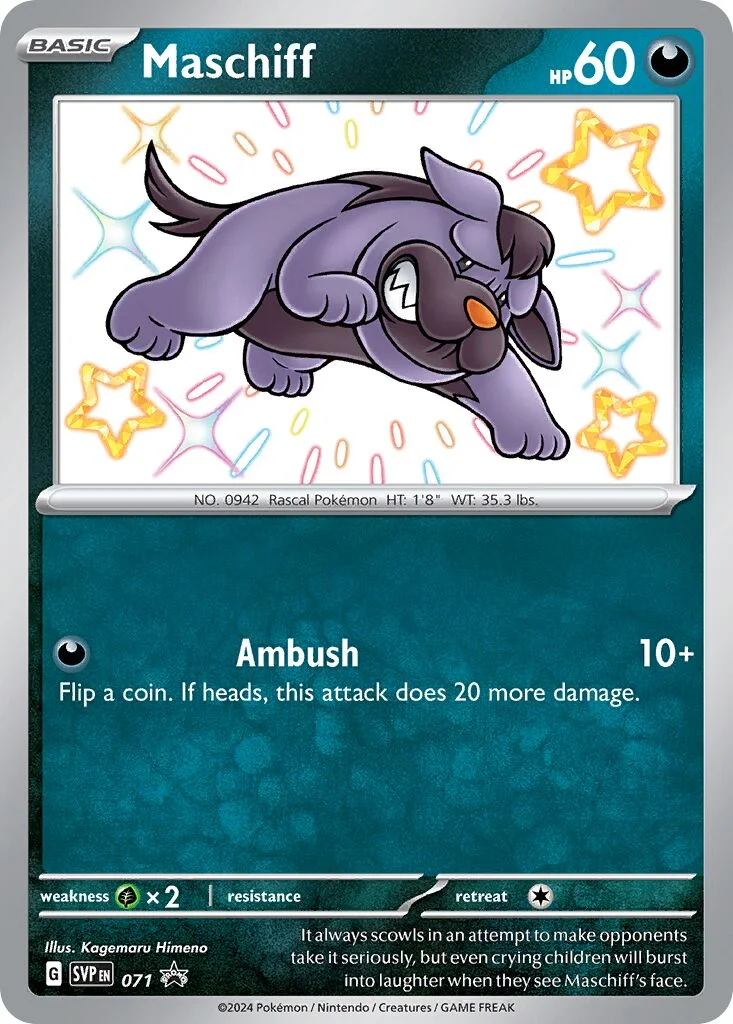 Maschiff 「SVP 071」「EN」