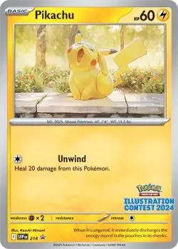 Pikachu #214 · Pokémon