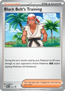 Black Belt's Training #219 · Pokémon