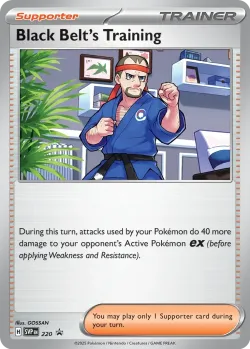 Black Belt's Training #220 · Pokémon