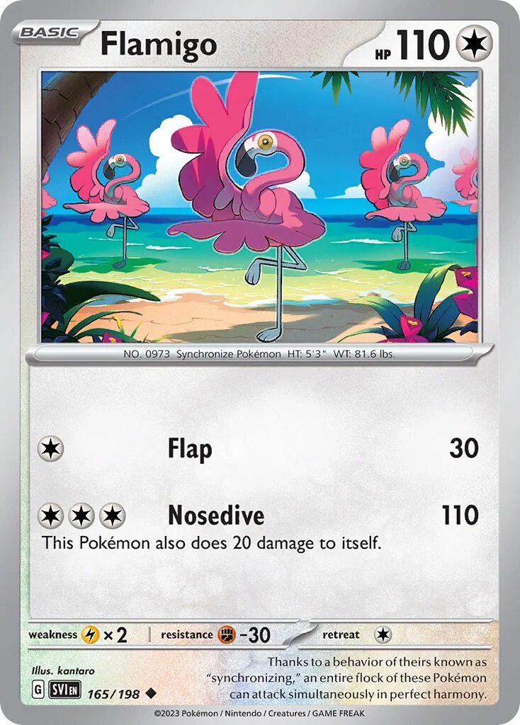 Flamigo 「SVI 165/198」「EN」