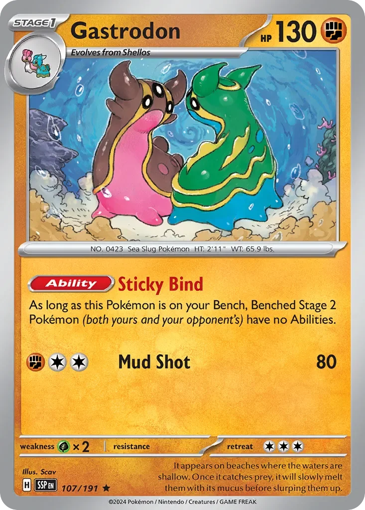 Gastrodon 「SSP 107/191」「EN」