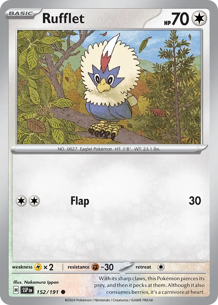 Rufflet 「SSP 152/191」「EN」
