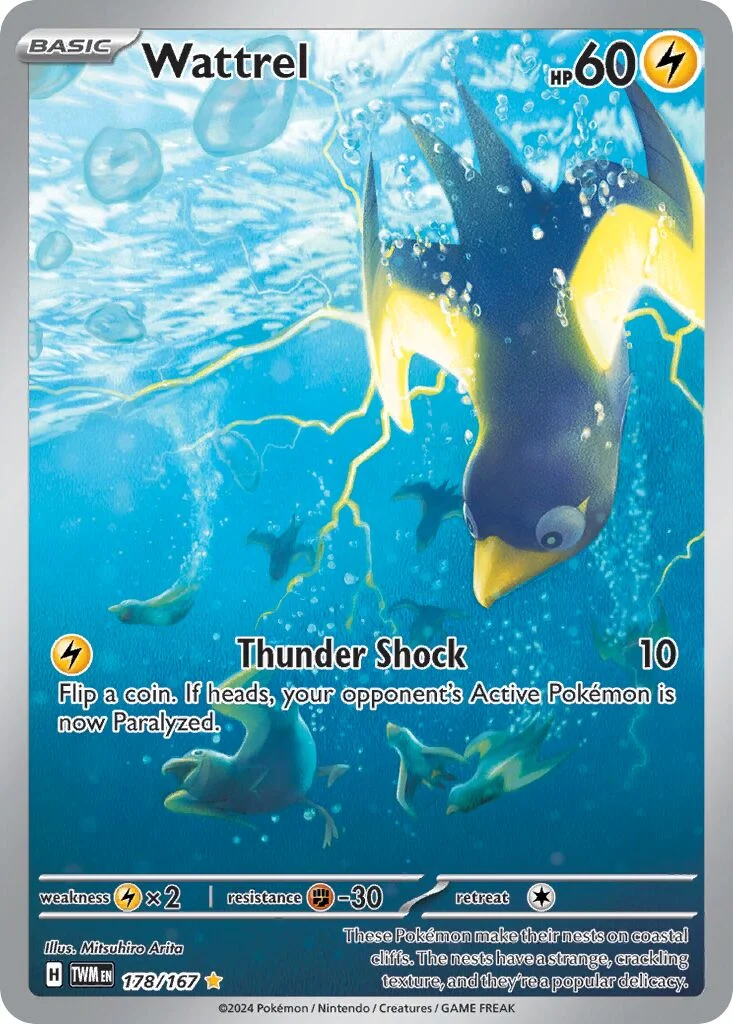 Wattrel 「TWM 178/167」「EN」