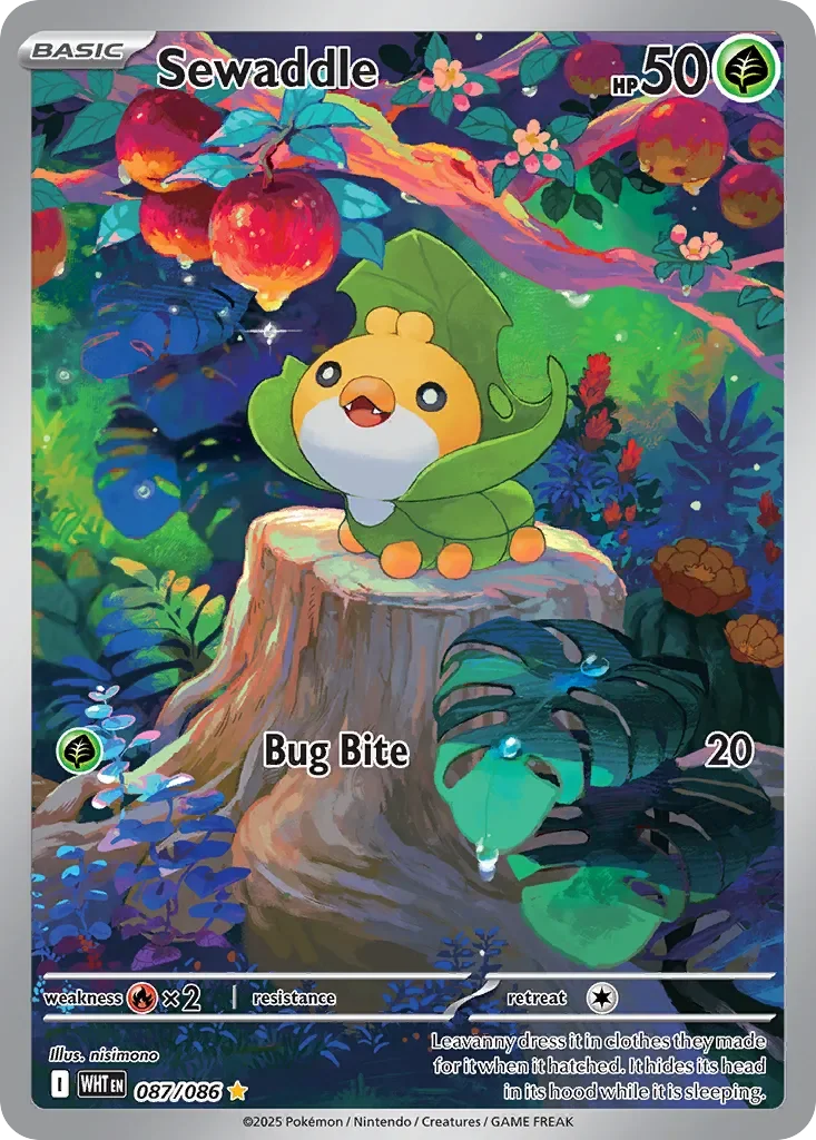 Sewaddle 「WHT 087/086」「EN」