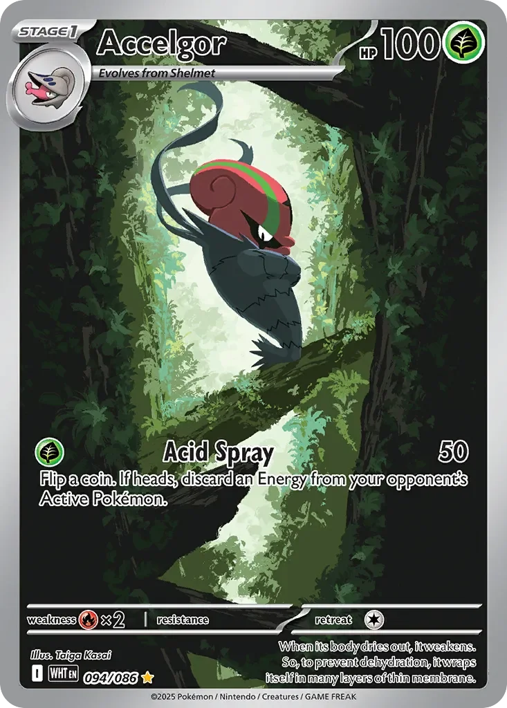 Accelgor 「WHT 094/086」「EN」