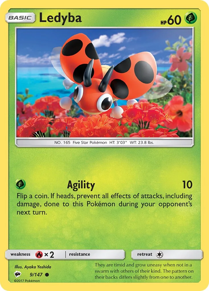 Ledyba 「BUS 9/147」「EN」