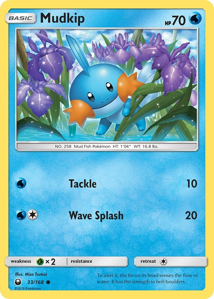 Mudkip 「CES 33/168」「EN」