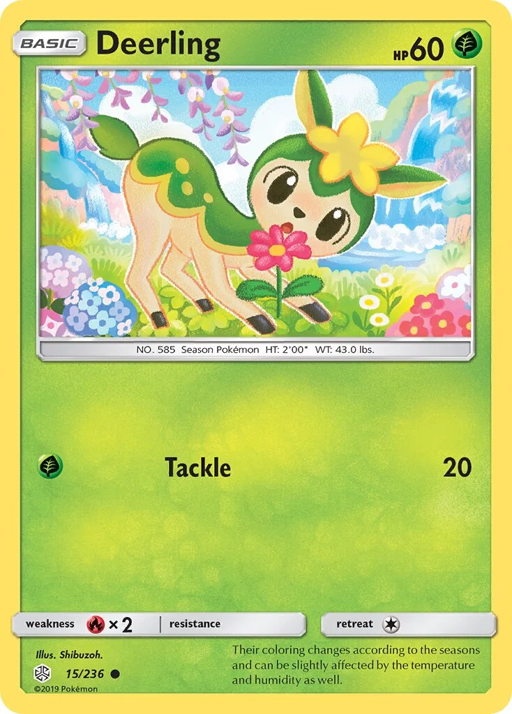 Deerling 「CEC 15/236」「EN」