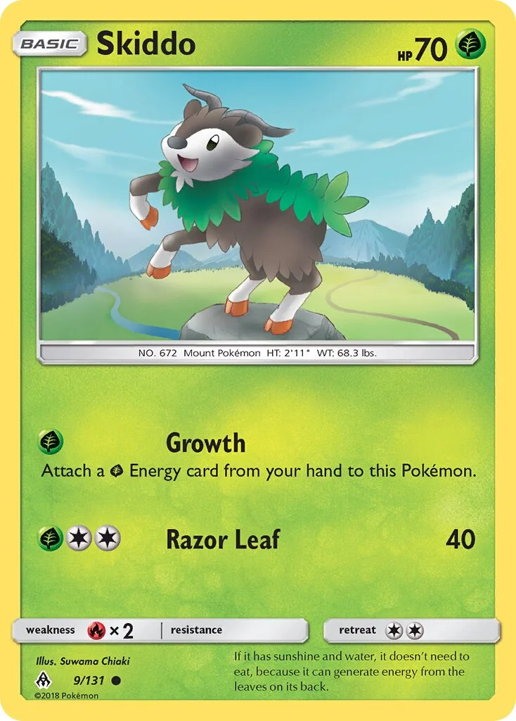 Skiddo 「FLI 9/131」「EN」