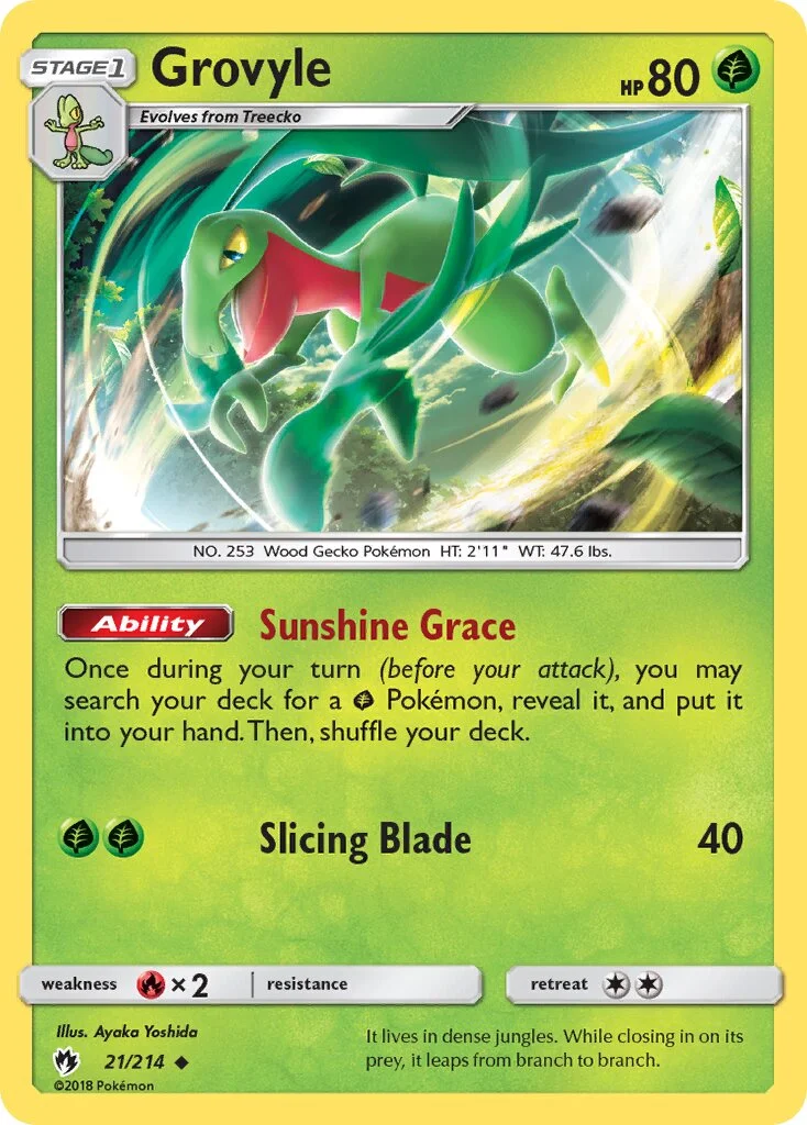 Grovyle 「LOT 21/214」「EN」