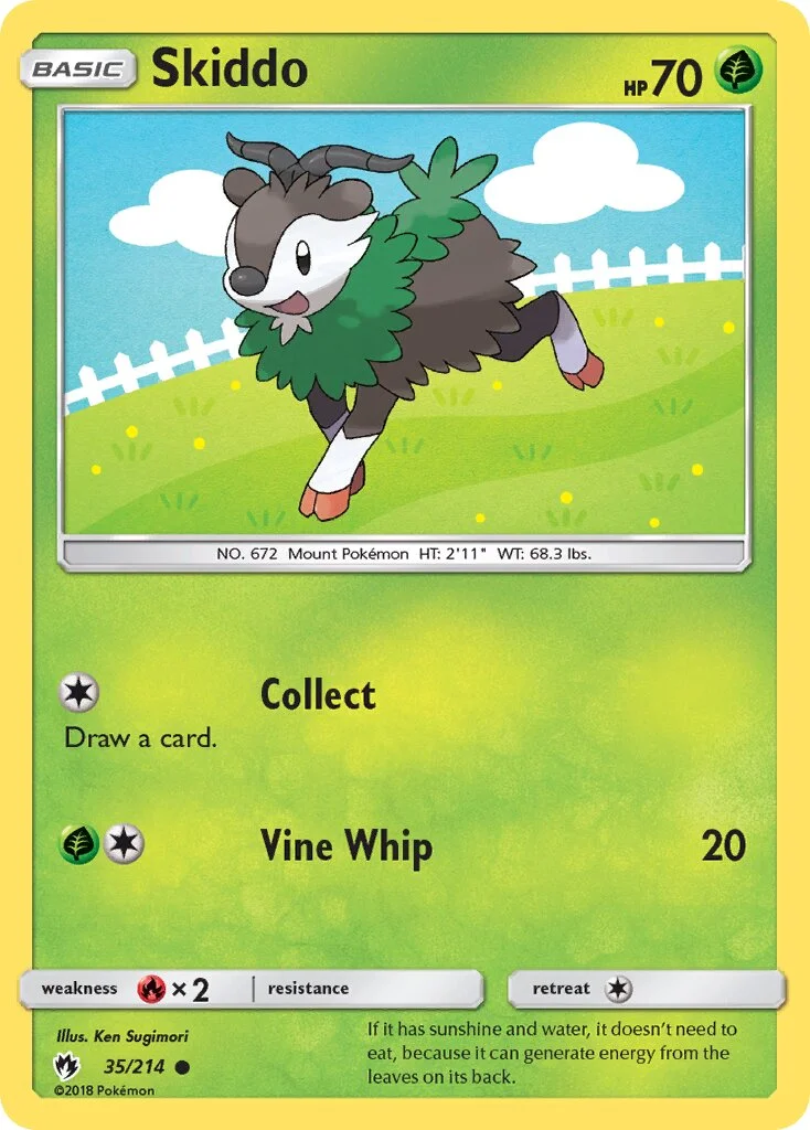Skiddo 「LOT 35/214」「EN」