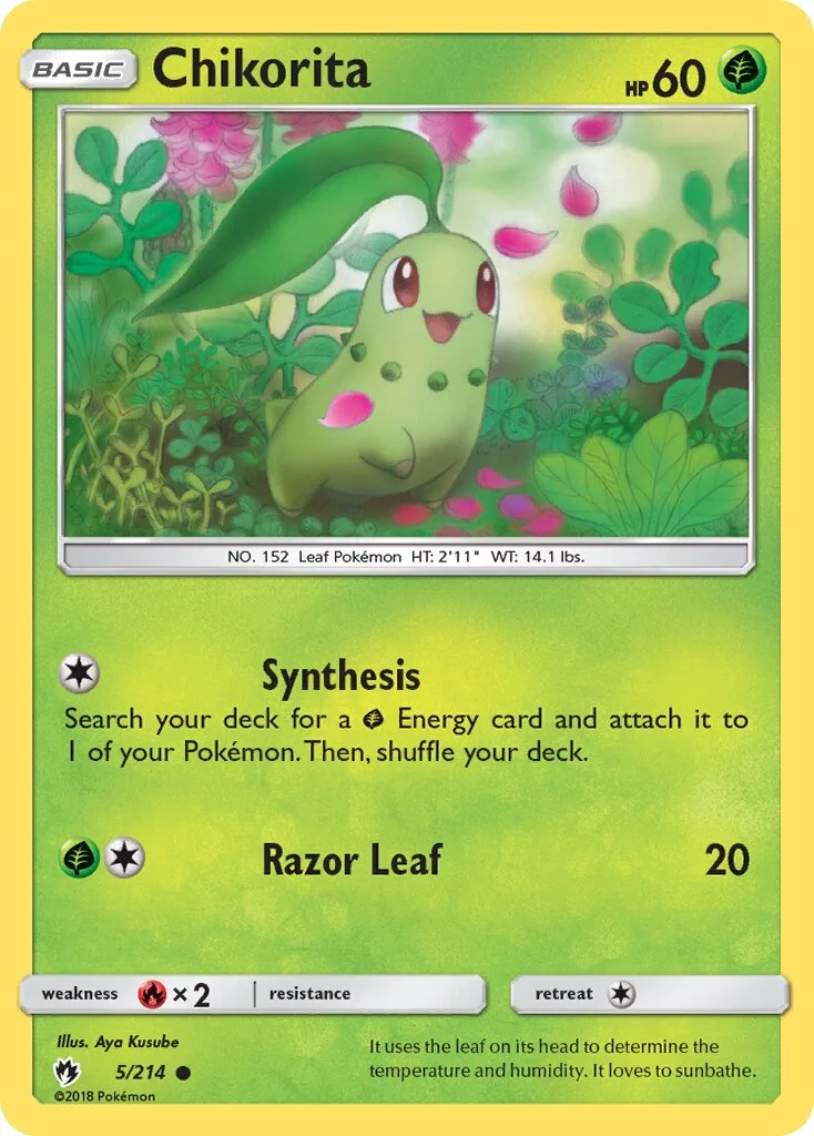 Chikorita 「LOT 5/214」「EN」