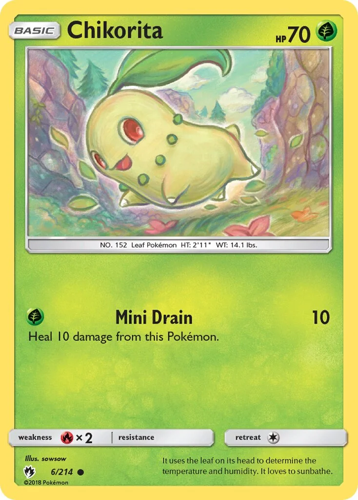Chikorita 「LOT 6/214」「EN」