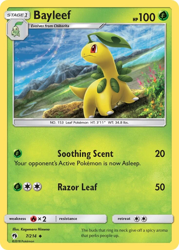 Bayleef 「LOT 7/214」「EN」