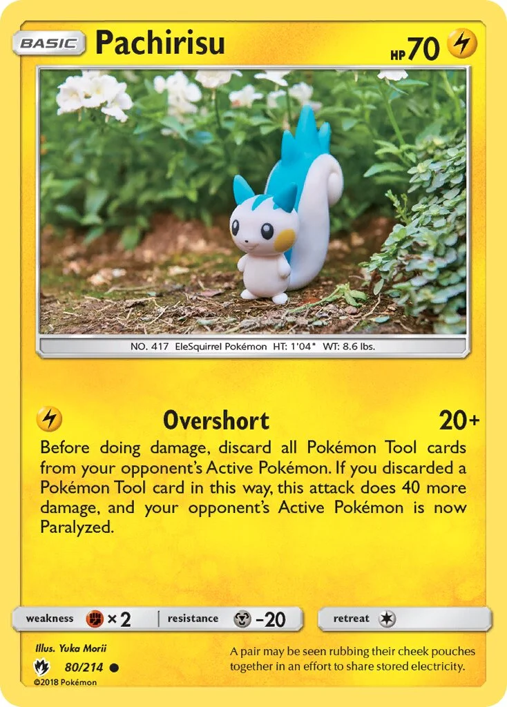 Pachirisu 「LOT 80/214」「EN」